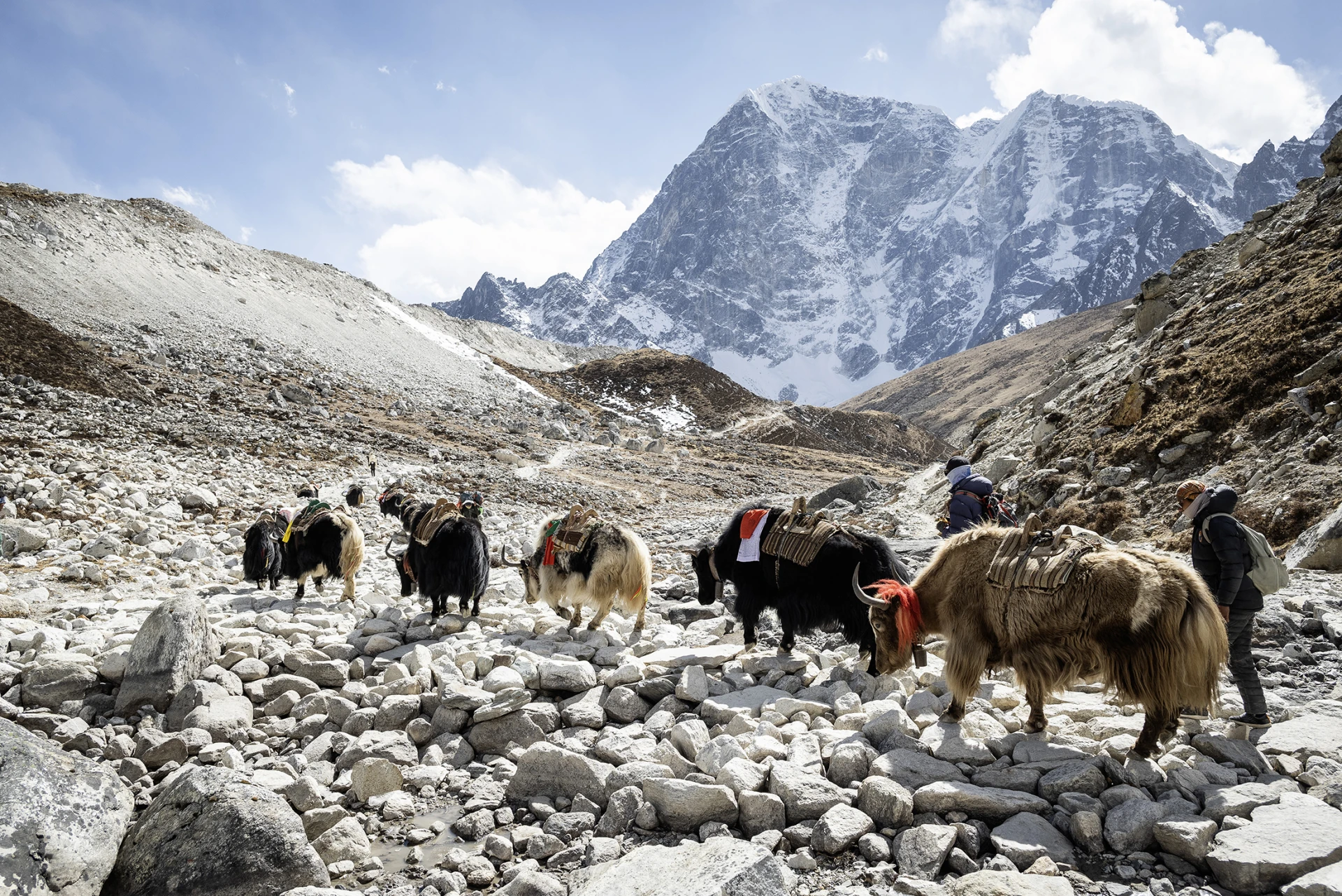 Photography Tours and Trek in Nepal