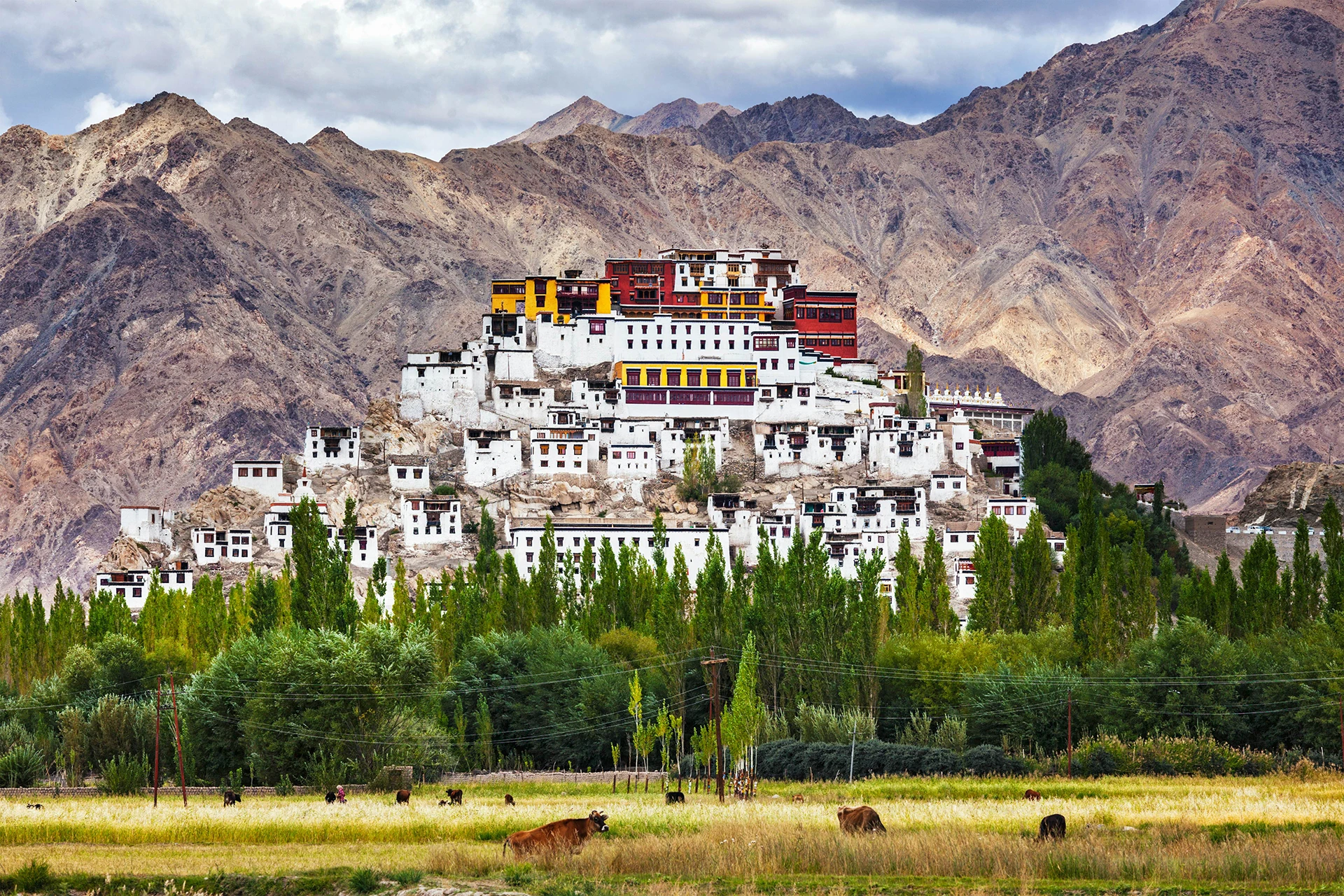 Ladakh