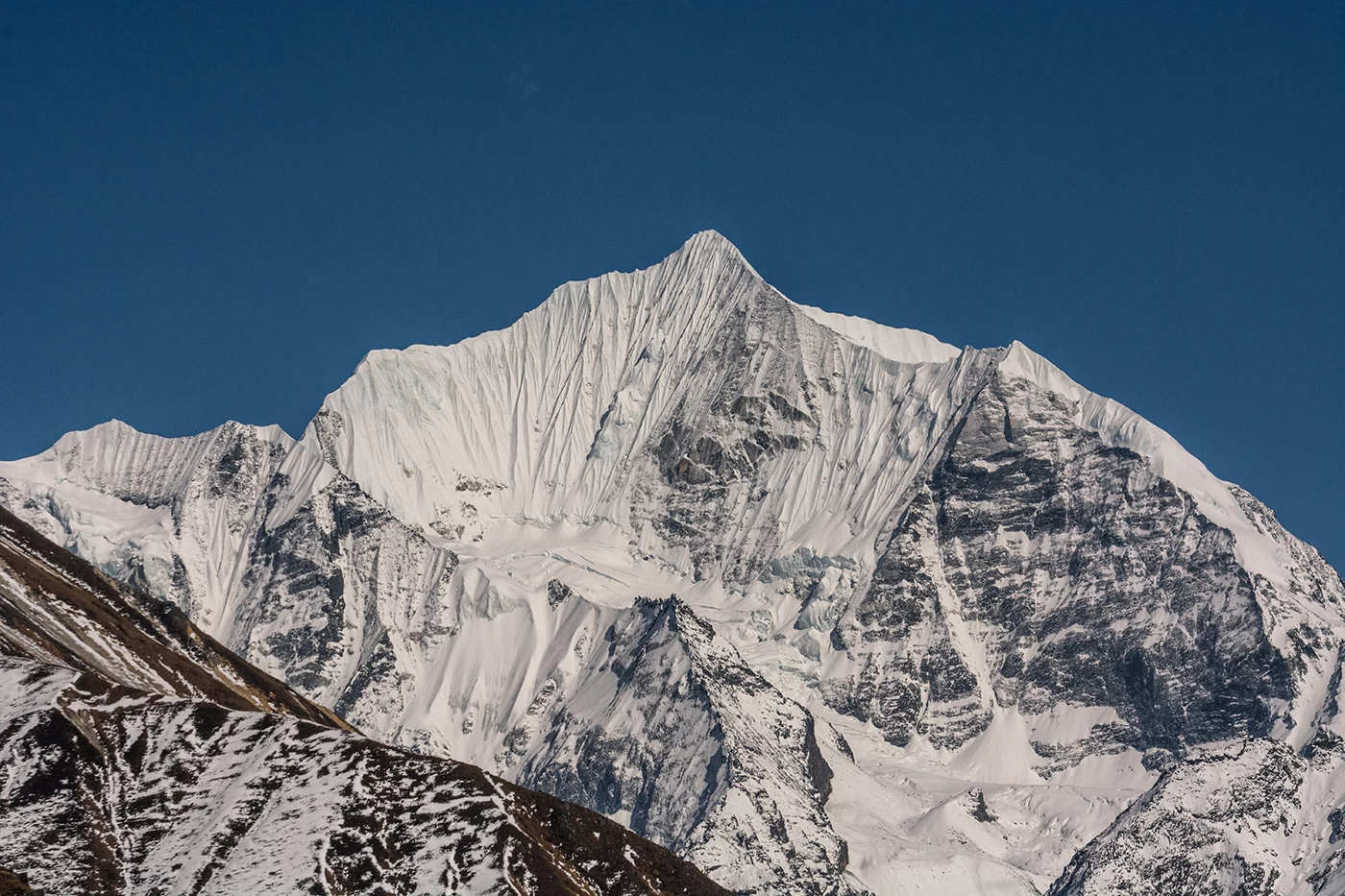  Best Picture of Langtang Valley. 