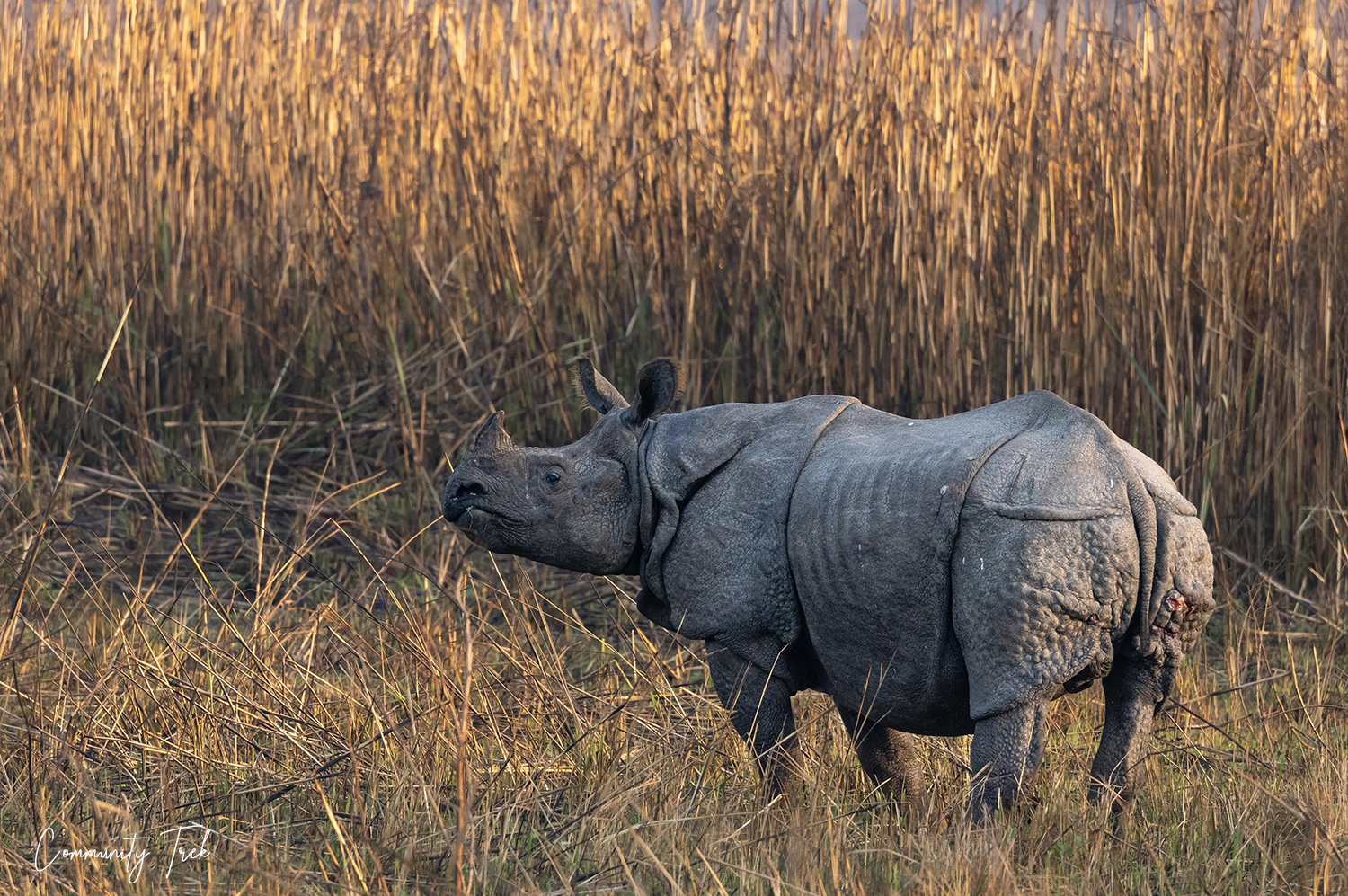 Parsa National Park 