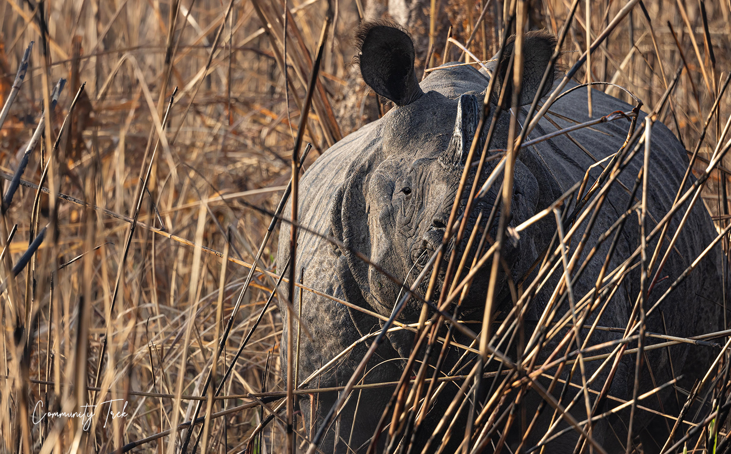 Chitawan National Park