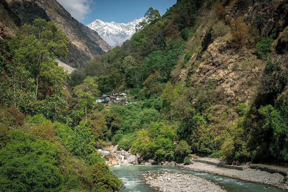 Trek from Bamboo (1,970m) to Syabrubesi (1,460m) & Drive to Kathmandu (1,400m)