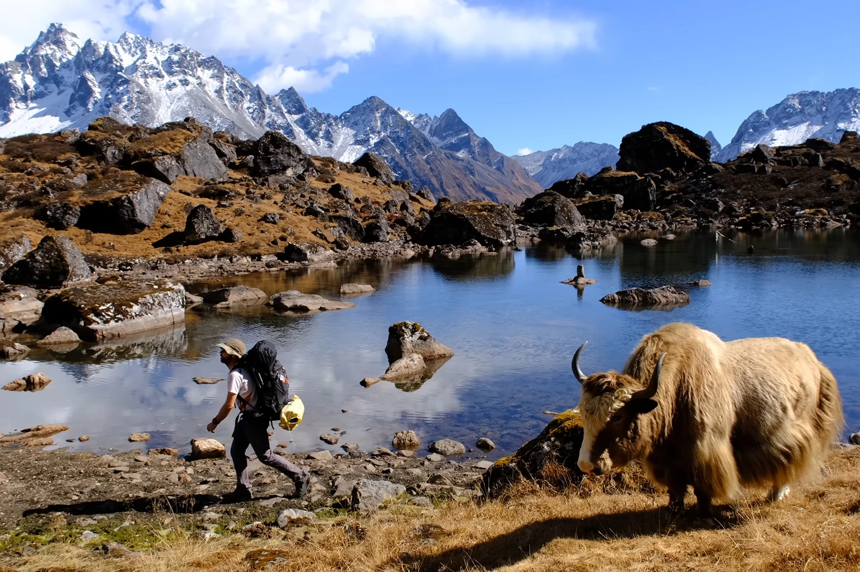 Kanchenjunga Base Camp Lodge Trek